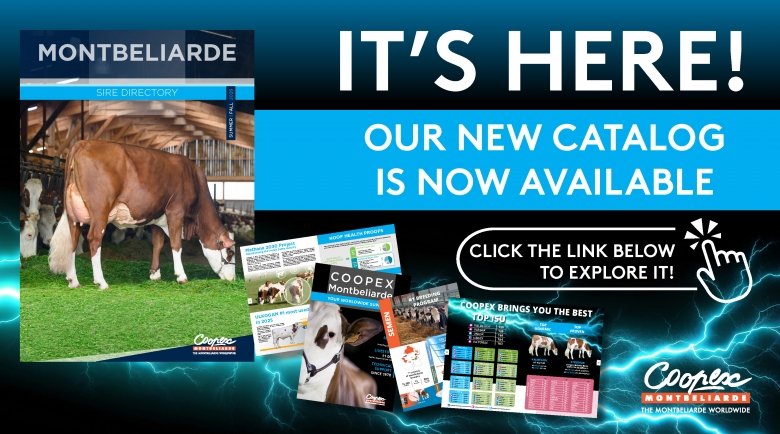 Coopex Catalog