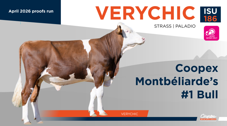 VERYCHIC