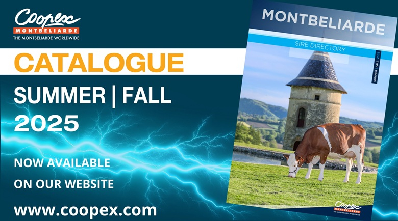 catalogue été 2025