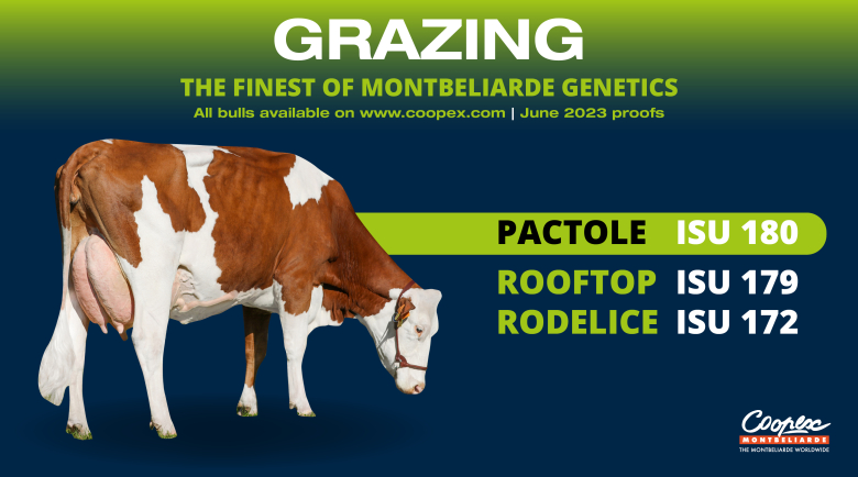 grazing