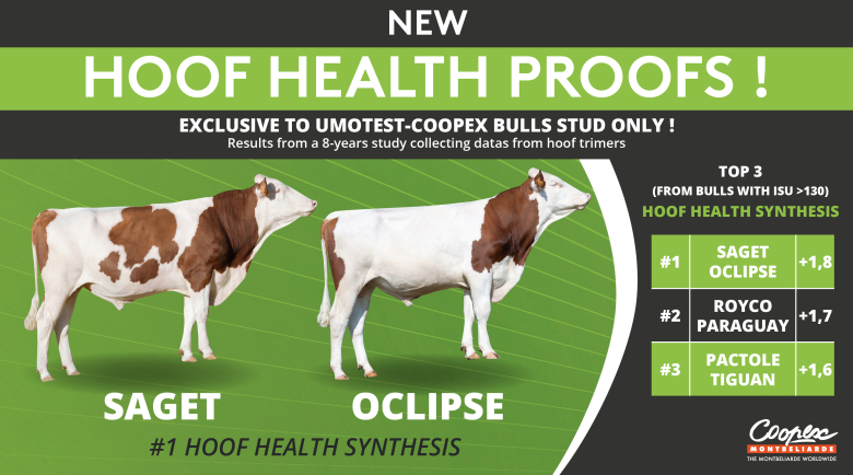 Hoof Health Proofs