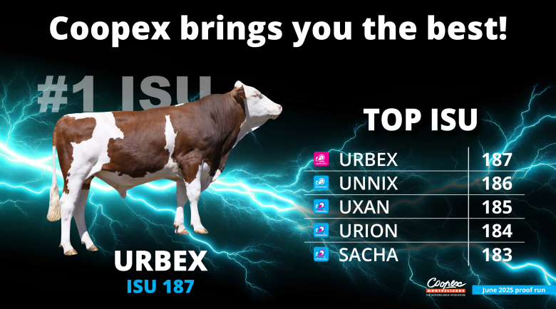 TOP ISU