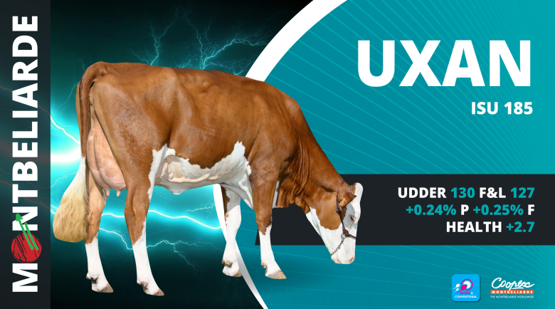 UXAN