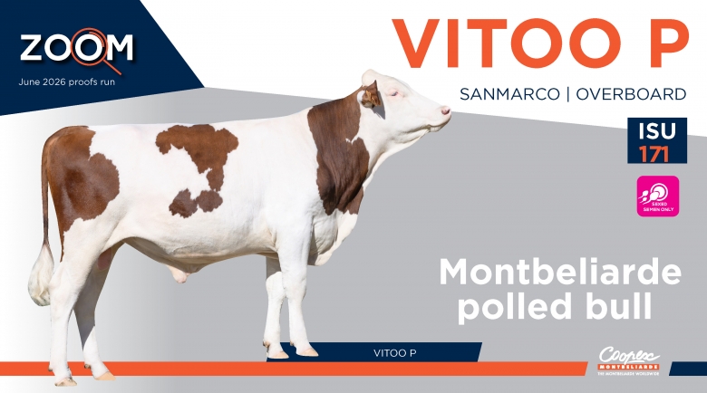 VITOO P