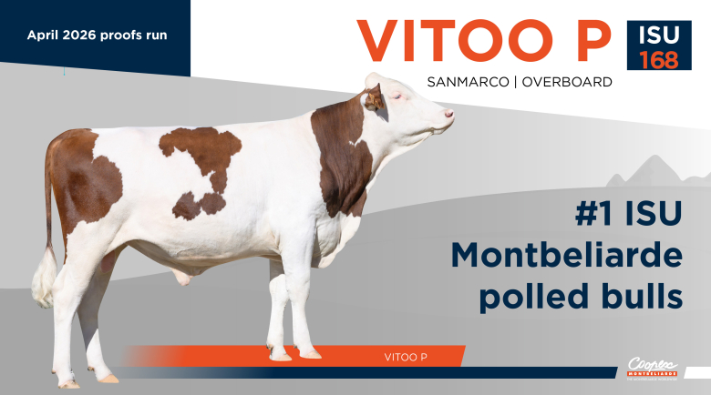 VITOO P
